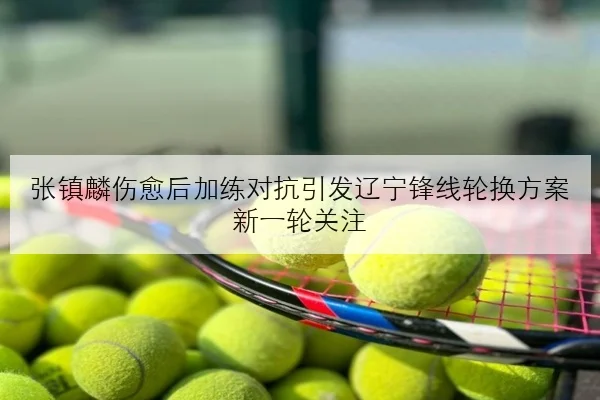张镇麟伤愈后加练对抗引发辽宁锋线轮换方案新一轮关注